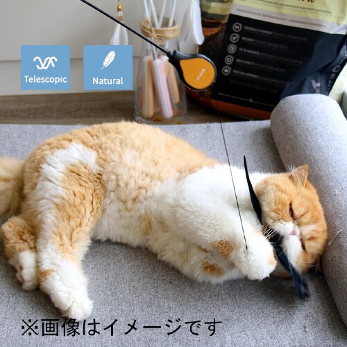 ねこじゃらしDX