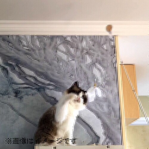 ねこじゃらしDX