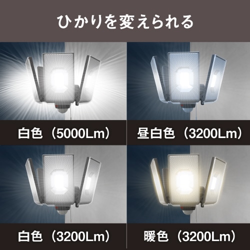12.5W×4灯LEDセンサ−ライト