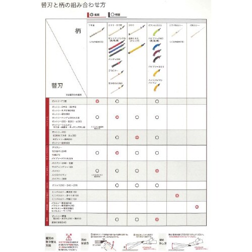 竹ひきのこ240柄