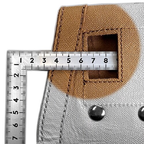 朱雀「剛−Gou」