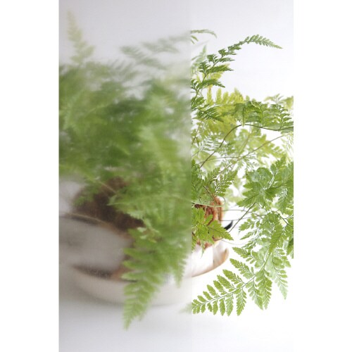 飛散軽減フィルム