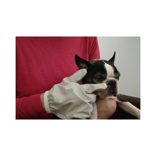 お顔すっきりグローブ2枚組 グレー