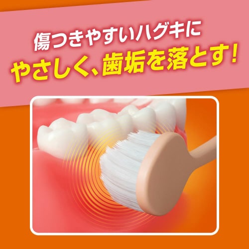 ピュオーラ36500ハブラシ濃密やわらかめ×12