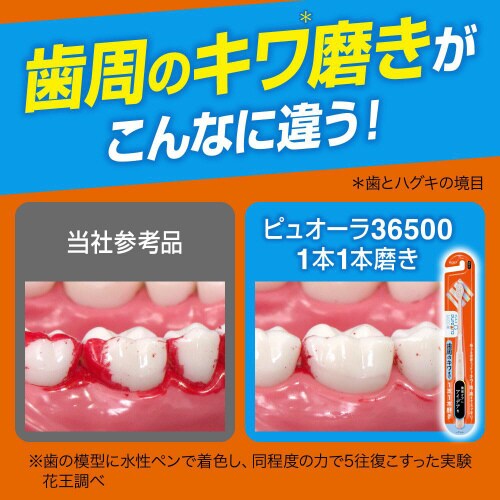 ピュオーラ36500ハブラシ1本1本磨きふつ×12