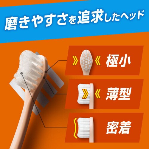 ピュオーラ36500ハブラシ1本1本磨きふつ×12