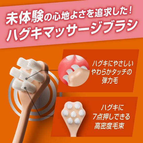 ピュオーラ36500ハブラシマッサージやわら×12