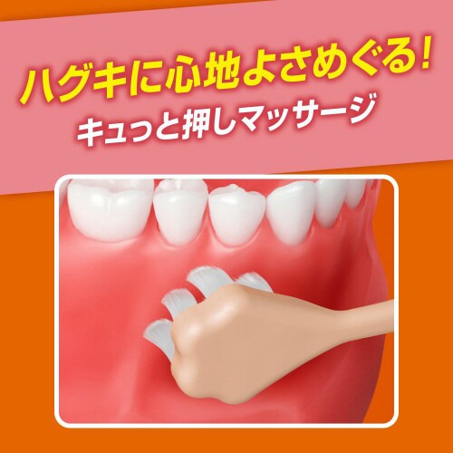 ピュオーラ36500ハブラシマッサージやわら×12