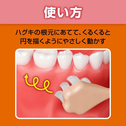 ピュオーラ36500ハブラシマッサージやわら×12