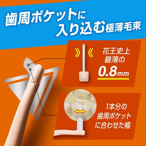 ピュオーラ36500歯周ポケットC2本入×12