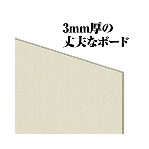 キャンバスボードSXSM