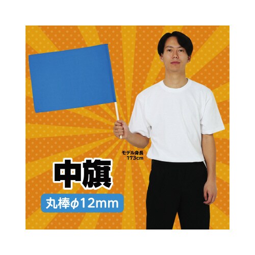 中旗 青 旗:W50×H36cm 旗竿:57cm