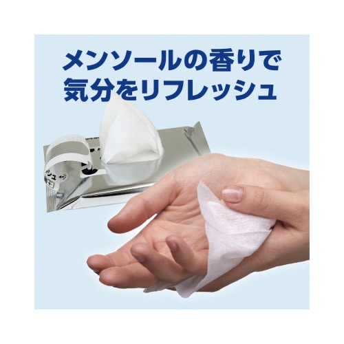 5年保証・超防災用ウェットティッシュ20枚入