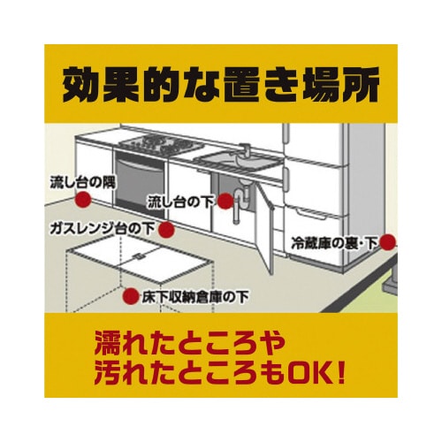 デスモアプロ 最後の晩餐 トレータイプ×20