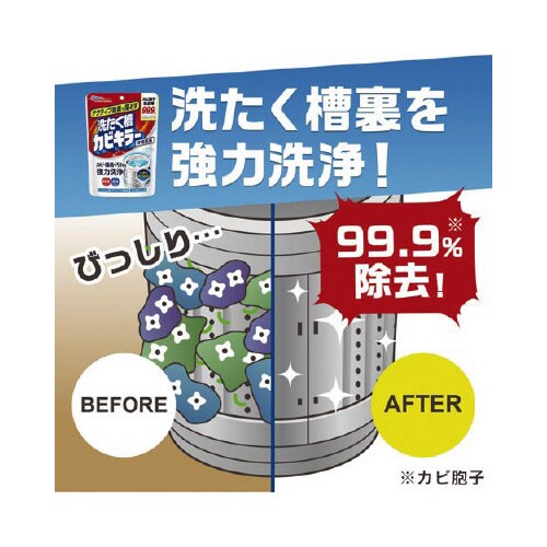 アクティブ酸素落とす洗たく槽カビキラー250×24