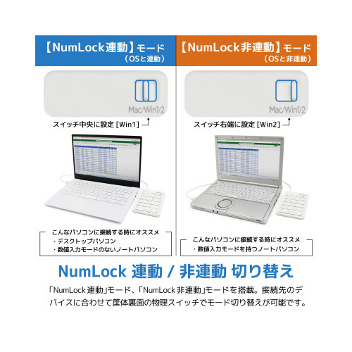lnaneL[ubN