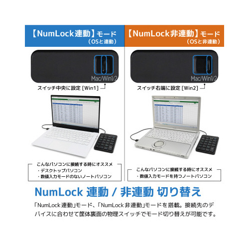 lnaneL[ubN