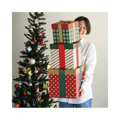 クリスマスディスプレイボックス 1枚入