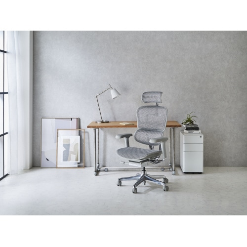 エルゴヒューマンプロ2 HAM−GF−WH