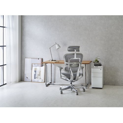 エルゴヒューマンプロ2 HAM−GF−WH