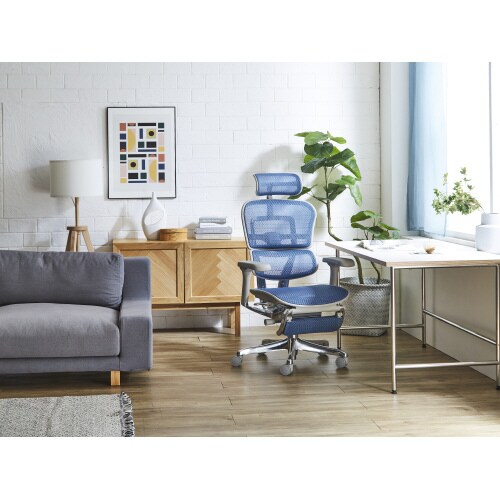 エルゴヒューマンプロ2 LPL−GF−BL