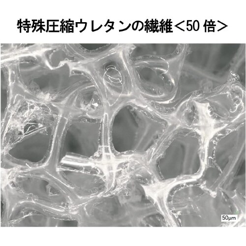 三ツ星スポンジ食器洗い用 白 10セット