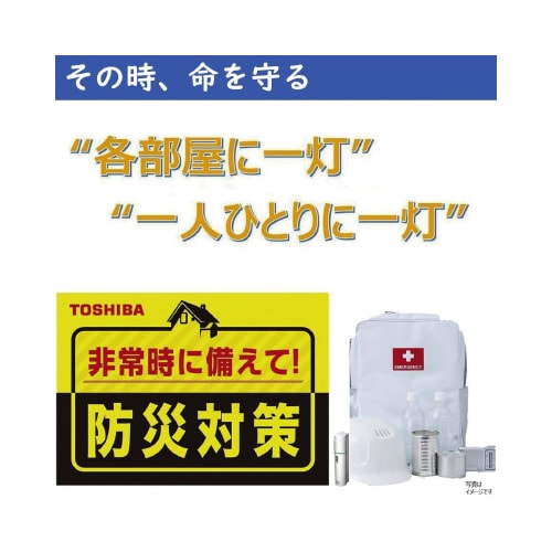 LED常備灯ホワイト10本入 (電池別・単3×2)