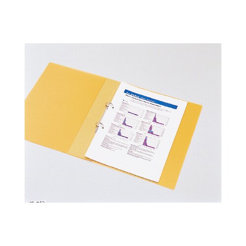 リングファイルA4SブルーRF−213Ax20