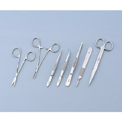 小動物解剖セット 小