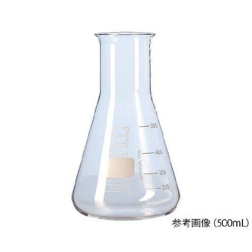 212263209 広口三角フラスコ