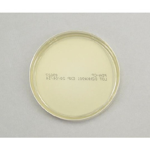 【冷】生培地CP加ポテトデキストロース寒天20