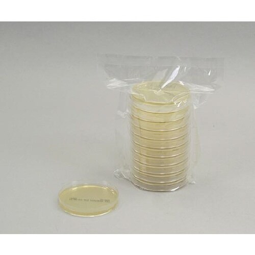 【冷】生培地CP加ポテトデキストロース寒天20