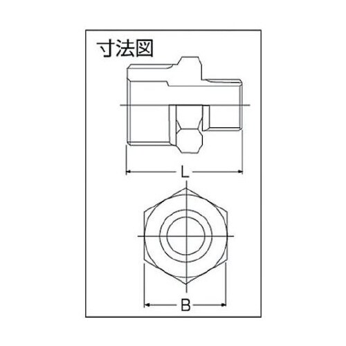 6NPT10AX8A 径違い6角ニップル