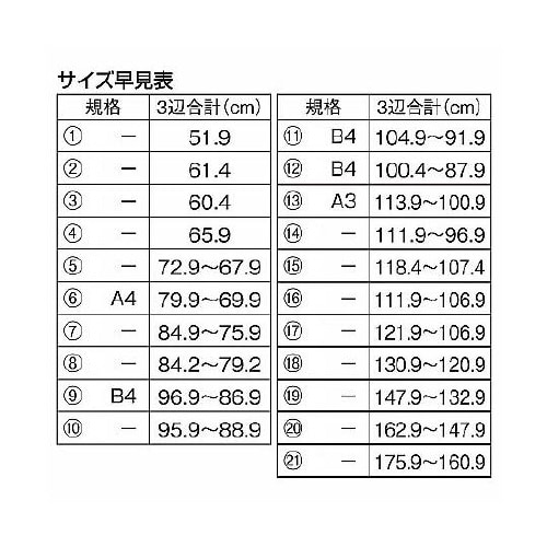 ダンボールケース 42.4×30.4×2