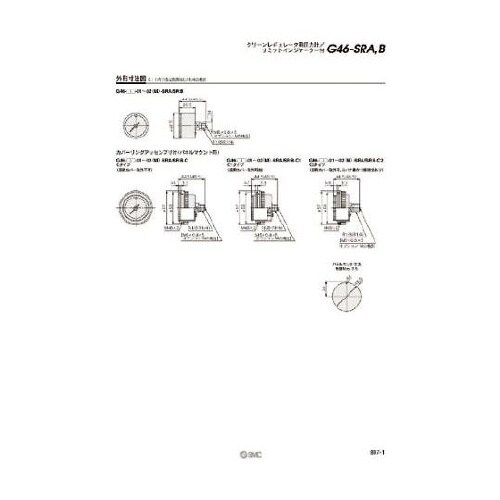 G46201SRB 圧力計