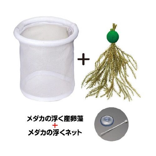 メダカの稚魚育成セット S−5755