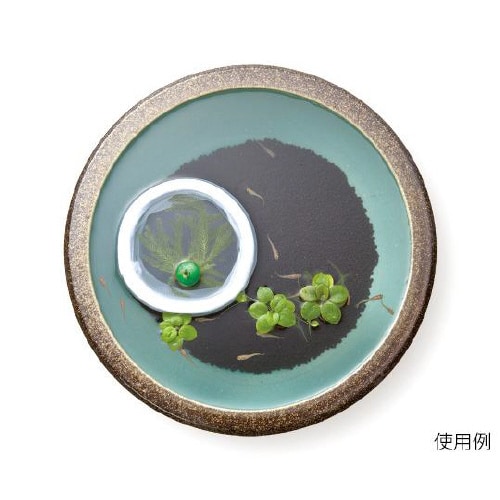 メダカの稚魚育成セット S−5755