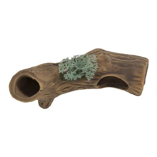 新やどり木 ミニ D−24