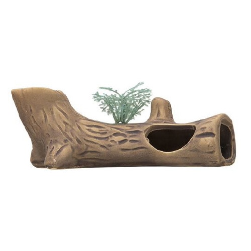 新やどり木 ミニ D−24