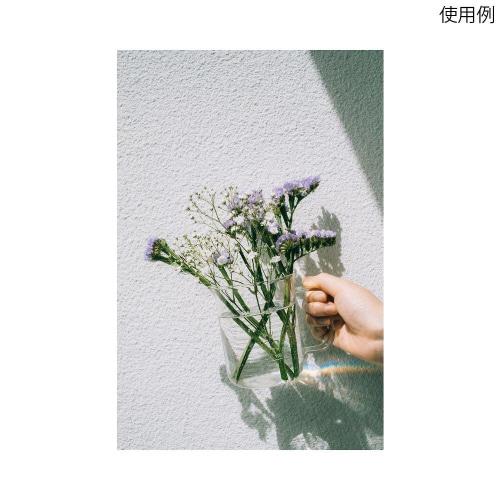 BV−300 ビーカーサーバー300ml