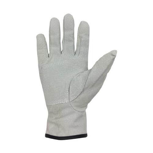 AG547−10P−L 豚床革手袋 L
