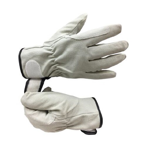 AG547−10P−L 豚床革手袋 L