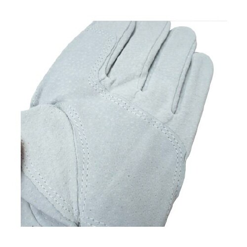 AG547−10P−L 豚床革手袋 L