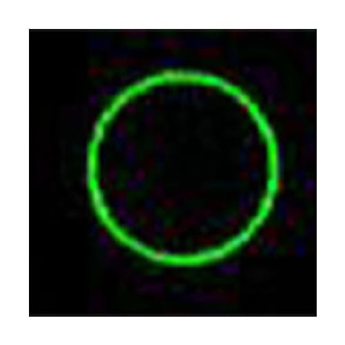 13x151x13mm グリーンレーザー