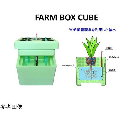 FARM BOX キューブ 330(フル