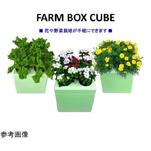 FARM BOX キューブ 330(フル