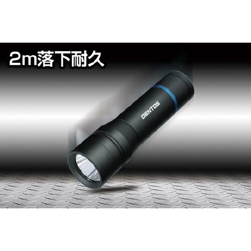 LED 懐中電灯 STELLA シリーズ