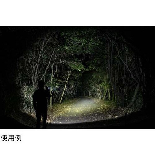 LED 懐中電灯 STELLA シリーズ