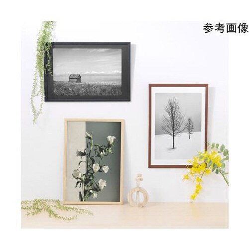 木製額 ピクスリアプラスA3ノビBR F