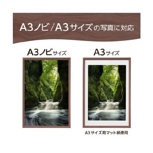 木製額 ピクスリアプラスA3ノビBR F